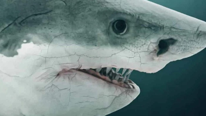 Megalodon