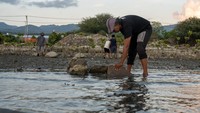 Hal itu guna menjaga pertumbuhan dan kelangsungan hidup mangrove yang mulai tumbuh di kawasan rehabilitasi pesisir seluas dua hektare itu yang dilanda abrasi. 