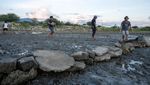 Dam Penangkap Sedimen Jaga Pertumbuhan Mangrove di Palu