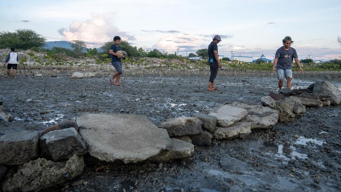 Seorang relawan pencinta mangrove menyusun bebatuan untuk pembuatan fondasi Permeable Dams atau dam penangkap sedimen di Kawasan Konservasi Mangrove Pantai Dupa, Palu, Sulawesi Tengah, Rabu (9/8/2023). Hal itu guna menjaga pertumbuhan dan kelangsungan hidup mangrove yang mulai tumbuh di kawasan rehabilitasi pesisir seluas dua hektare itu yang dilanda abrasi. ANTARA FOTO/Basri Marzuki/aww.