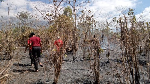 Personel Damkartan Kabupaten Karangasem memadamkan api di lahan jambu mete, Desa Baturinggit, Kecamatan Kubu, Kamis (10/8/2023) (Dok. Damkartan Karangasem)