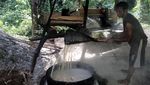 Melihat Produksi Gula Aren Tradisional di Pulau Bacan