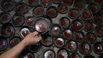 Melihat Produksi Gula Aren Tradisional di Pulau Bacan