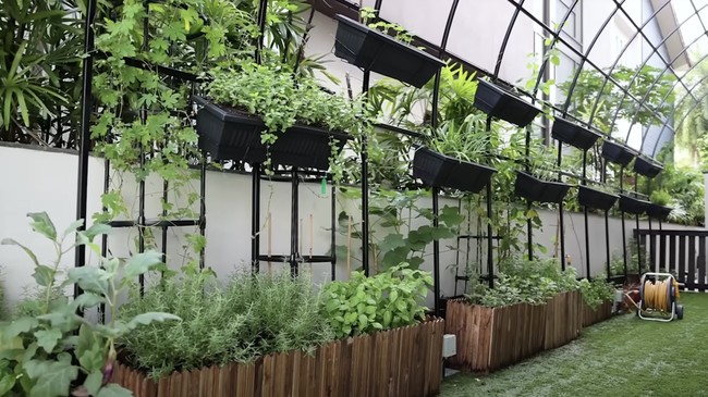 Dapur Jamie Chua berdekatan dengan kebun di rumah mewahnya. Di kebun tersebut mantan istri pengusaha Indonesia, Nurdian Cuaca itu menanam berbagai rempah dan sayuran organik. Foto: Dok. YouTube @jamiechuachannel