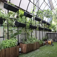 Dapur Jamie Chua berdekatan dengan kebun di rumah mewahnya. Di kebun tersebut mantan istri pengusaha Indonesia, Nurdian Cuaca itu menanam berbagai rempah dan sayuran organik. Foto: Dok. YouTube @jamiechuachannel