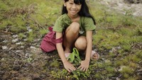 Di antara ratusan siswa Sekolah Adat Arus Kualan, terdapat Selsi yang menemukan minatnya dalam mengajar seni memainkan Sampe. Sampe merupakan alat musik tradisional suku Dayak. (Foto: Sekolah Adat Arus Kualan)