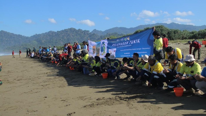 Taman Nasional Meru Betiri mengadakan kegiatan konservasi lingkungan di Pantai Muara Mbaduk Sarongan