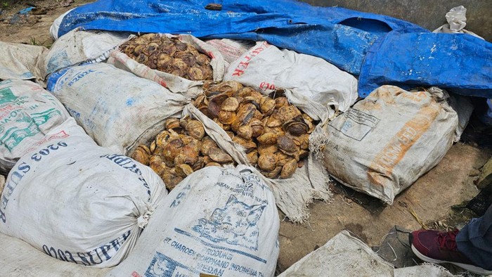 Tumpukan bahan olah karet di Sumut