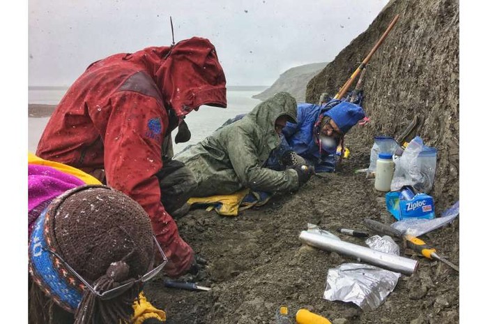 Ahli paleontologi yang bekerja di Alaska utara menemukan fosil tikus es kecil