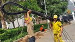 Aksi Petugas Tertibkan Kabel Semrawut di Menteng