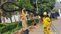 Kabel-kabel yang sudah tidak terpakai dan menjuntai dipotong kemudian diamankan.  