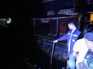 Detik-detik Menegangkan Wanita di Bontang Diterkam Buaya di Depan Suami