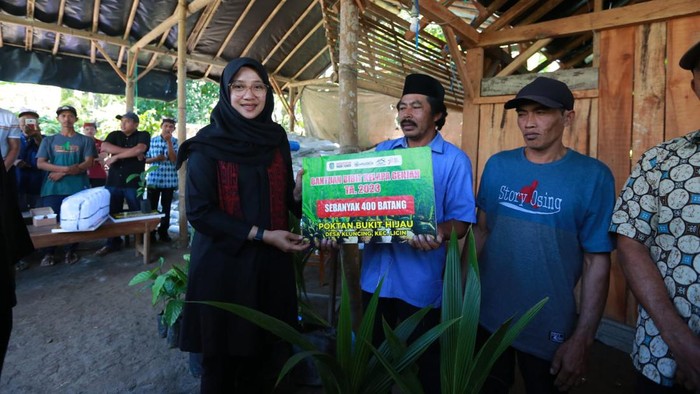 bupati ipuk bunga desa