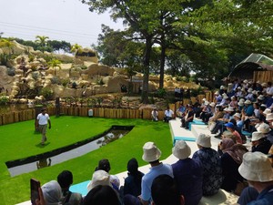 Kunjungi TMII, Delegasi AIPA Nikmati Ragam Budaya di Miniatur Indonesia