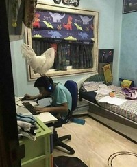 Foto yang membingungkan