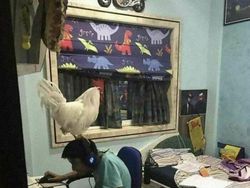 Deretan Foto Bikin Bingung, Butuh Lebih Banyak Penjelasan