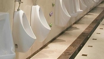 Siapa yang akan buang air kecil di atas sana? Foto: Bored Panda