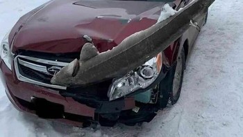 Bagaimana bisa mobil ini menabrak ikan? Foto: Bored Panda