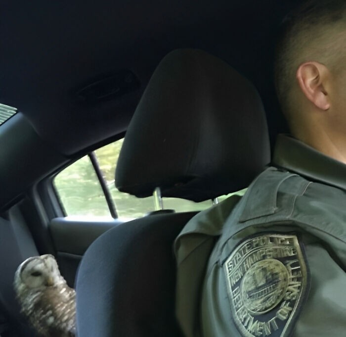 Foto yang membingungkan