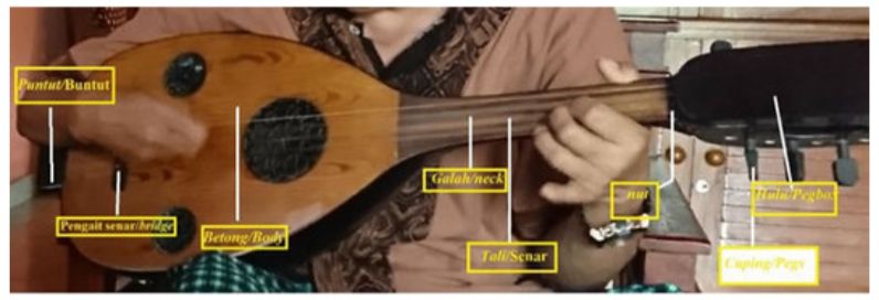 Alat musik tradisional Lampung, gambus.