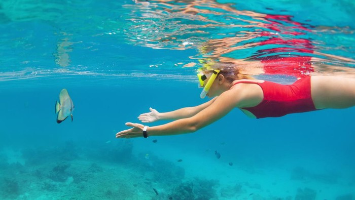 Ilustrasi snorkeling di Bali