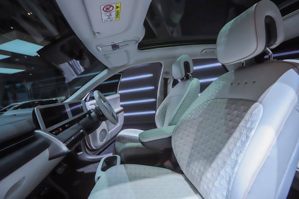 Ioniq 5 Indonesian Batik