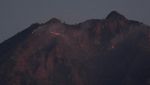 Gunung Merapi Ungup-ungup Terbakar, Begini Potretnya