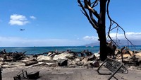 Si jago merah melahap Kota Lahaina sampai menjadi abu. Laihana adalah salah satu kota sejarah Hawaii yang sangat dijaga.   