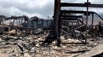Kebakaran Hutan Membuat Pulau di Hawaii Jadi Abu