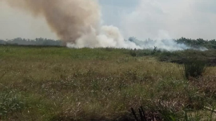 Kebakaran lahan di Tanjung Jabung Barat.