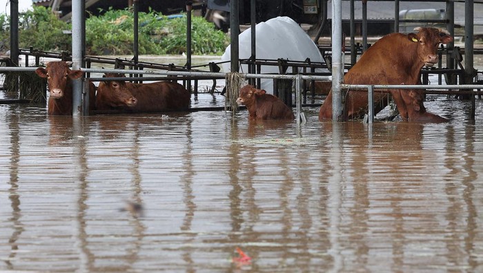 Kota di Korsel Direndam Banjir Setinggi Rumah Imbas Topan Khanun Rescue workers take part in a rescue operation at a town submerged by typhoon Khanun in Daegu, South Korea, August 10, 2023. Yonhap via REUTERS THIS IMAGE HAS BEEN SUPPLIED BY A THIRD PARTY. NO RESALES. NO ARCHIVES. SOUTH KOREA OUT. NO COMMERCIAL OR EDITORIAL SALES IN SOUTH KOREA.