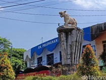 Head to Head Persik Vs Persija: Macan Putih Tak Pernah Kalah di Kandang