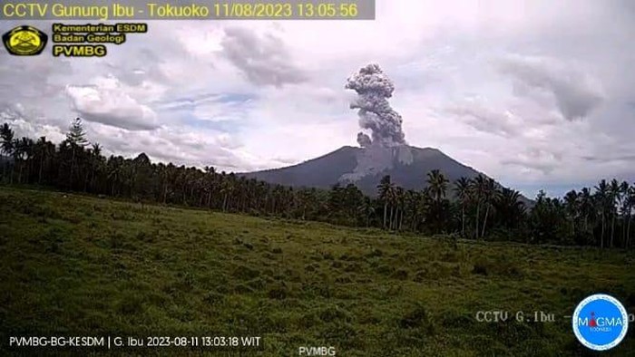 Gunung Ibu di Kecamatan Ibu, Halmahera Barat, Maluku Utara (Malut), mengalami erupsi dan menyemburkan abu vulkanik setinggi 2.825 meter.