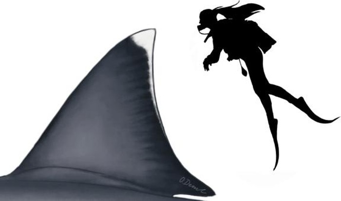 Megalodon
