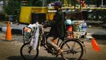 Potret Kampung Starling di Sudut Ibu Kota