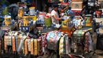 Potret Kampung Starling di Sudut Ibu Kota