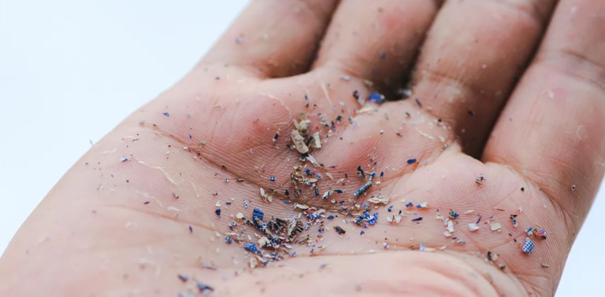 Mikroplastik, Seberapa Bahaya bagi Lingkungan dan Kesehatan Manusia?