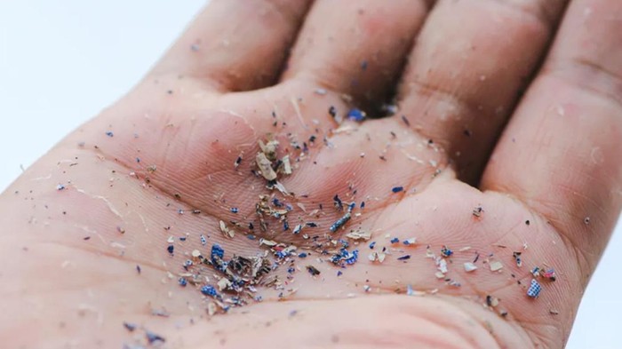 mikroplastik