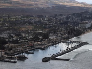 Bertambah, Korban Tewas Kebakaran Hutan di Hawaii Jadi 93 Orang