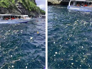 Bule Mau Snorkeling Jijik dengan Sampah, Dispar Bali Tak Membantah