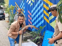 Panji Petualang Nggak Kapok Main Bareng King Kobra Meski Nyaris Kehilangan Nyawa