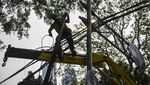 Kabel Utilitas yang Berantakan di Jakarta Dibereskan