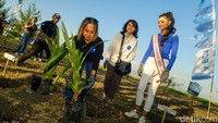 Penyu memiliki insting kembali ke tempat ia dilepaskan. Maka dari itu, di lokasi yang sama juga ditanam pandan laut untuk sumber makanan penyu.