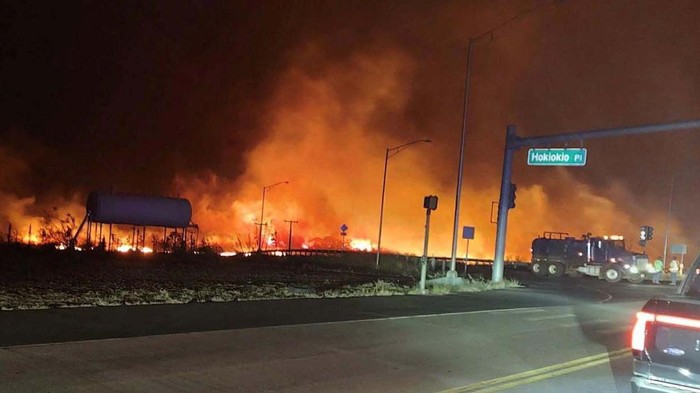 A view of LahainaÕs historic banyan tree following the wildfires in Maui, Hawaii, U.S. August 10, 2023, in this screengrab obtained from a social media video. Senator Brian Schatz via X/via REUTERS  THIS IMAGE HAS BEEN SUPPLIED BY A THIRD PARTY. MANDATORY CREDIT. NO RESALES. NO ARCHIVES.