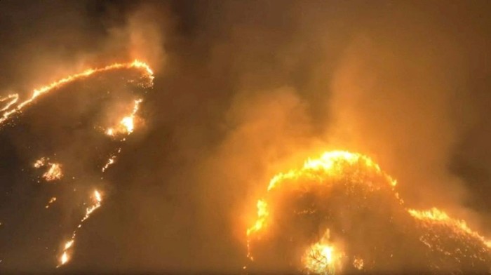 Potret Ngerinya Kebakaran Hutan di Hawaii A view of LahainaΓs historic banyan tree following the wildfires in Maui, Hawaii, U.S. August 10, 2023, in this screengrab obtained from a social media video. Senator Brian Schatz via X/via REUTERS THIS IMAGE HAS BEEN SUPPLIED BY A THIRD PARTY. MANDATORY CREDIT. NO RESALES. NO ARCHIVES.