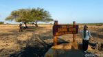 Senja Syahdu di Savana Baluran Africa Van Java