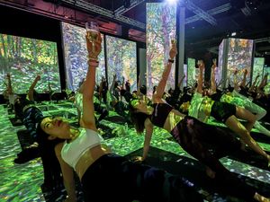 Sensasi Yoga Wine di Pameran Imersif Van Gogh