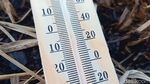 Potret Dieng yang Kembali Beku-Suhu Minus 4 Derajat Celsius