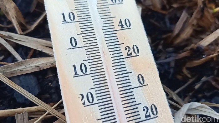 Dieng kembali membeku, Sabtu (12/8/2023) pagi. Suhu tercatat minus 4 derajat celsius. Begini suasananya.