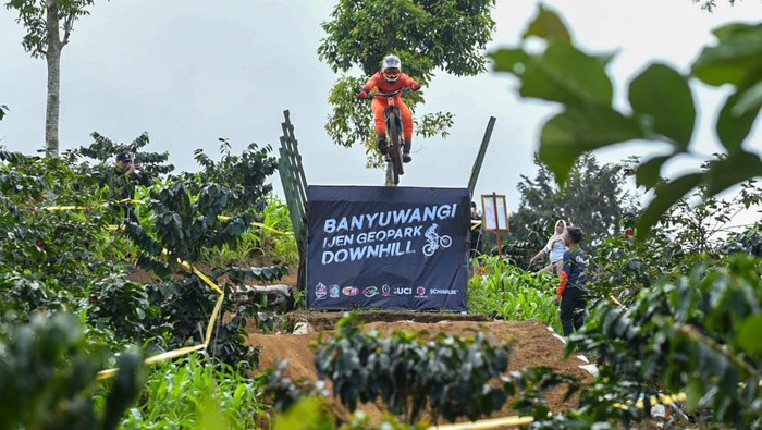 Ijen Geopark Downhill